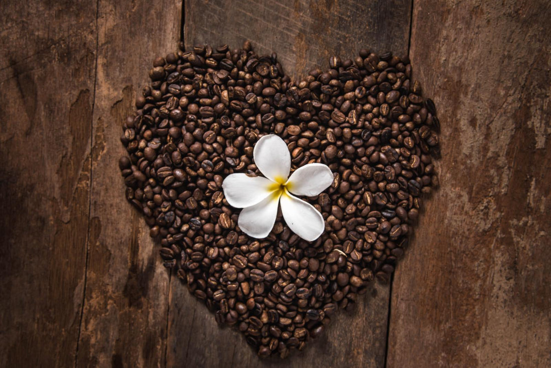 exkusiver Kaffee aus Costa Rica